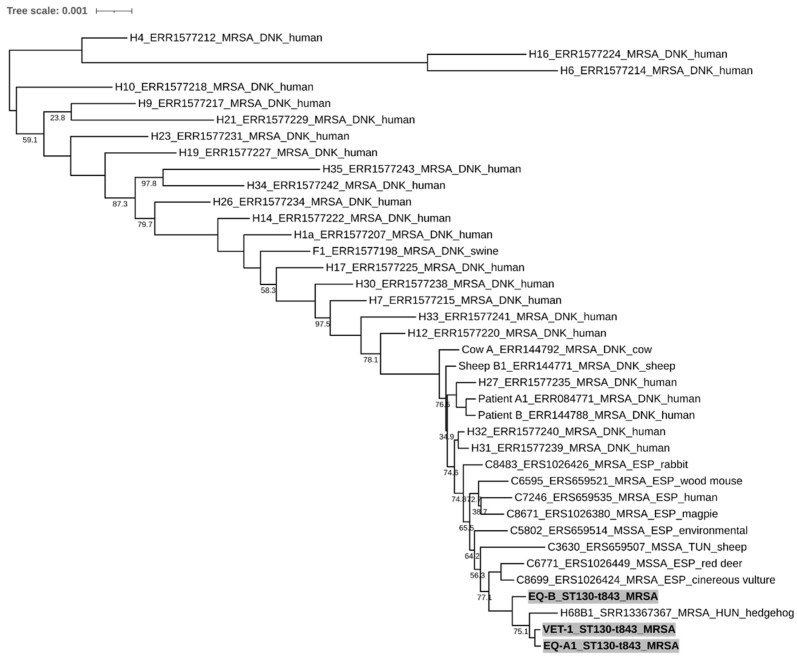 An external file that holds a picture, illustration, etc.
Object name is antibiotics-12-00408-g004.jpg