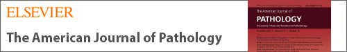 Logo of amjpathol