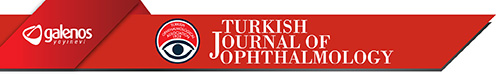 Logo of turkjopht