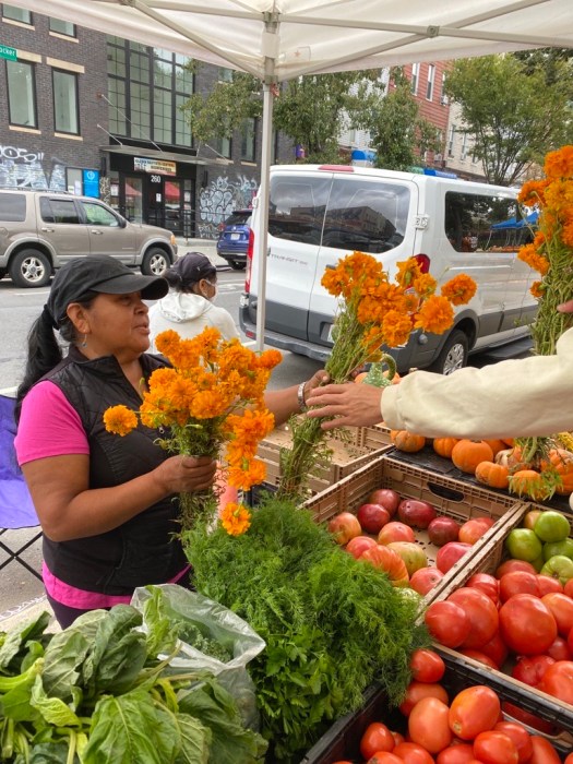 Starting June 5, join RiseBoro Farmers M