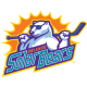 Orlando Solar Bears