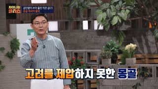 ※역사덕후들 모여라!※ 차이나는 클라스로 배우는 역사!  테마 동영상 66