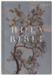 NRSV Catholic Edition Bible, Eucalyptus--hardcover