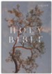 NRSV Catholic Edition Bible, Eucalyptus--Softcover