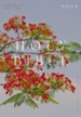 NRSV Catholic Edition Bible, Royal Poinciana--Softcover