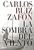 La sombra del viento (El cementerio de los libros olvidados, #1)