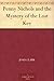 Penny Nichols and the Mystery of the Lost Key by Joan   Clark