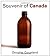 Souvenir of Canada by Douglas Coupland