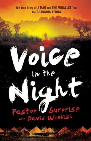 Voice in the Night by Surprise Sithole