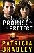 A Promise to Protect (Logan Point, #2)