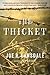 The Thicket by Joe R. Lansdale