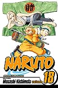 Naruto, Vol. 18: Tsunade's Choice