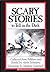 Scary Stories to Tell in the Dark (Scary Stories, #1) by Alvin Schwartz