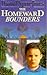 The Homeward Bounders by Diana Wynne Jones