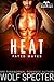 Heat (Dragon's Destiny: Fated Mates #1)