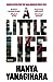 A Little Life