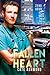 A Fallen Heart (Zero Hour, #2)