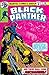 Black Panther (1977-1979) #13 by Jim Shooter