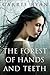 The Forest of Hands and Teeth (The Forest of Hands and Teeth, #1)