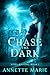 Chase the Dark (Steel & Stone, #1) by Annette Marie