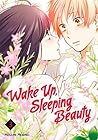 Wake Up, Sleeping Beauty, Vol. 3 by Megumi Morino