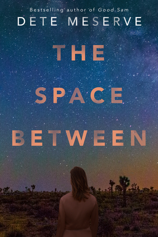 The Space Between by Dete Meserve