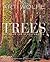 Trees Between Earth and Heaven by Gregory McNamee