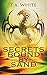 Secrets Bound By Sand (Dragon Ridden Chronicles, #4)