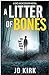 A Litter of Bones (DCI Logan Crime Thrillers, #1) by J.D. Kirk