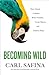 Becoming Wild: How Animal Cultures Raise Families, Create Beauty, and Achieve Peace