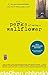 The Perks of Being a Wallflower by Stephen Chbosky