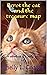 PEROT THE CAT AND THE TREASURE MAP The adventures of a really adorable kitty by Shelly L. Cooper