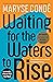 Waiting for the Waters to Rise