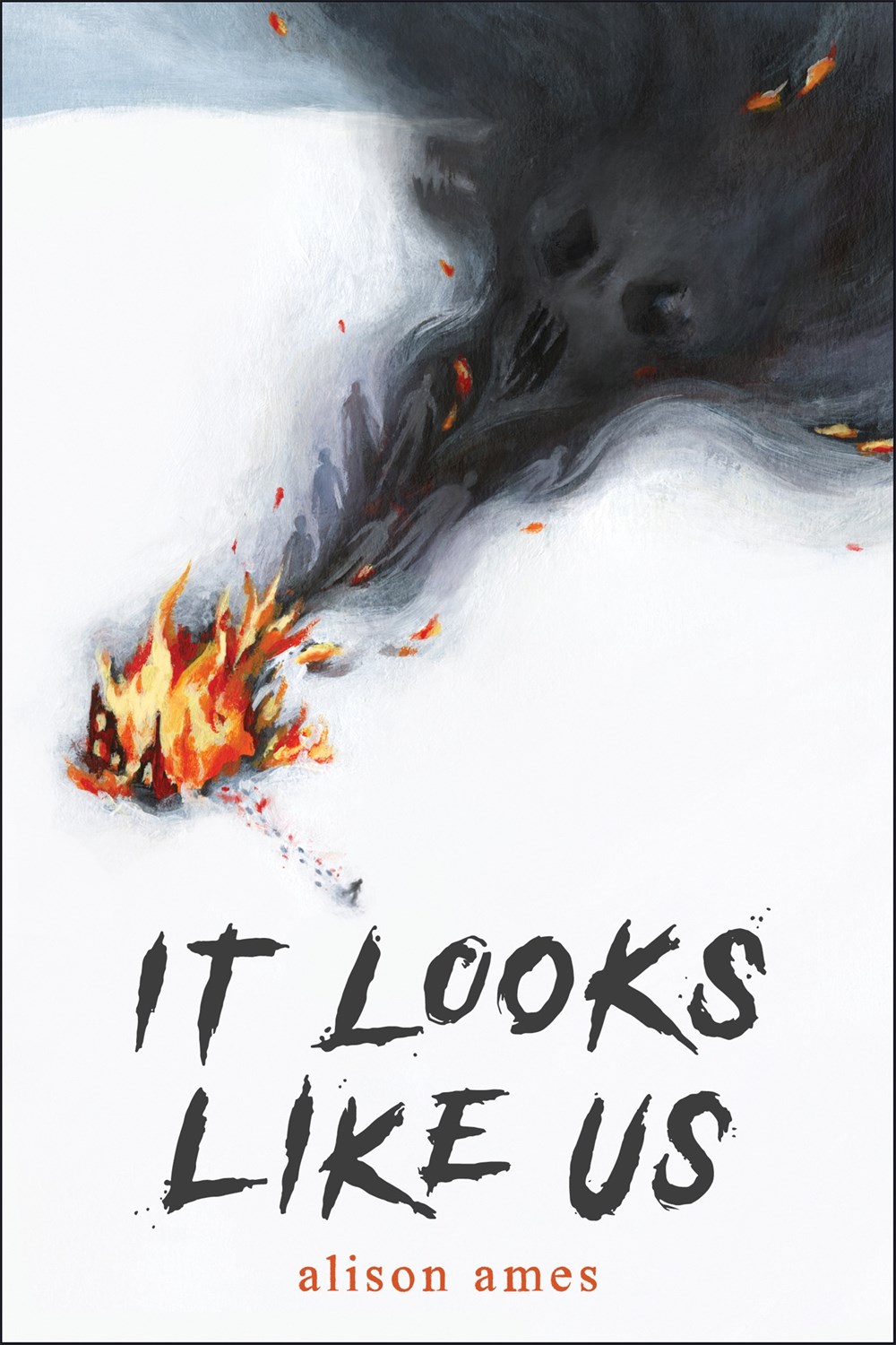 It Looks Like Us by Alison Ames