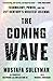 The Coming Wave: Technology, Power, and the Twenty-first Century's Greatest Dilemma