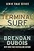 Terminal Surf (Lewis Cole, #12)