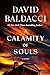 A Calamity of Souls