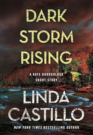 Dark Storm Rising by Linda  Castillo