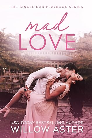 Mad Love (The Single Dad Playbook, #1)