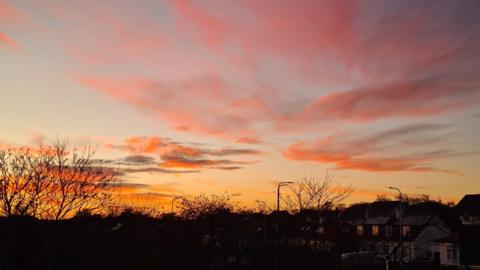 Pink and orange skies as sun sets over trees