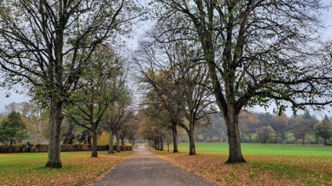 A tree-lined path through green parkland, a scattering of leaves and a grey sky