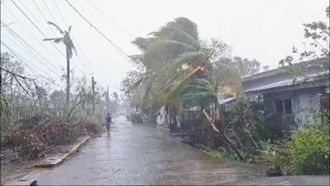 Trees being battered by strong winds in a street in the Philippines