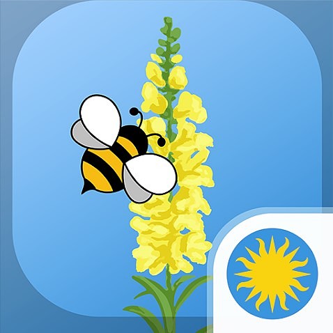 bee on snap dragon