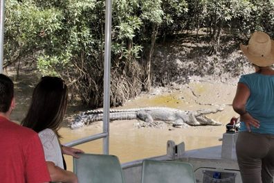 Whitsundays Crocodile Safaris airlie beach