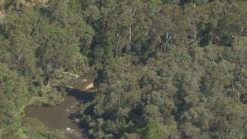 A young man has died after a tree fell on his tent and car in Victoria this morning. Police said the large tree had fallen at a campground near Eildon Jamieson Road in the town of Kevington at about 3am.