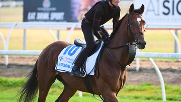 The Aidan O&#x27;Brien trained Jan Brueghel ridden by Dean Gallagher during trackwork session at Werribee.