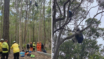 Skydiver rescue