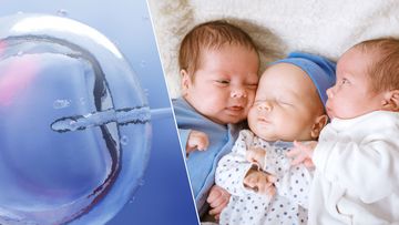 IVF birth rates of triplets and twins plummetIVF birth rates of triplets and twins plummet