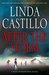 After the Storm (Kate Burkholder #7) by Linda Castillo