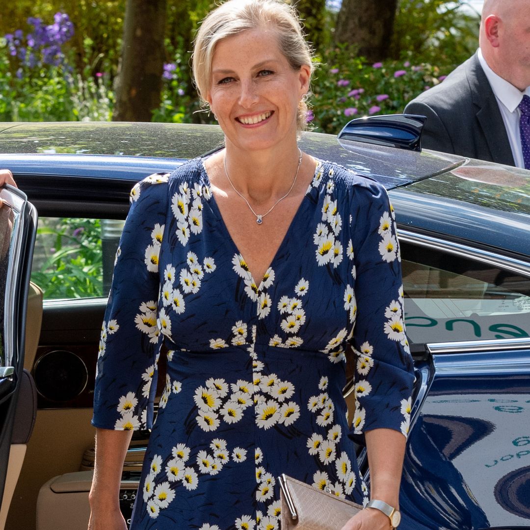 Duchess Sophie's silk fit and flare dress sends hidden message